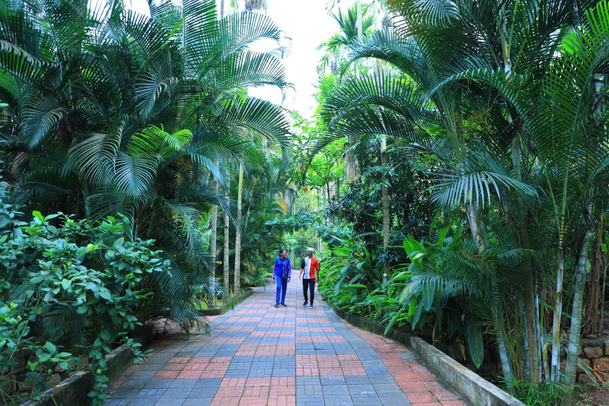 Parampara Resort & Spa, Coorg Кушалнагар Экстерьер фото